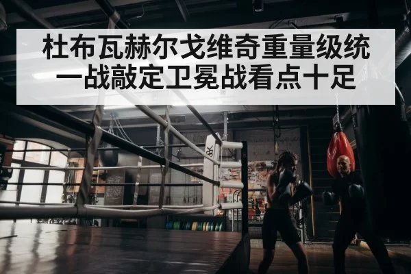 boxer training